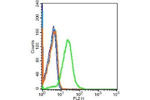 Mouse kidney cells probed with 	GPR110 Polyclonal Antibody, Unconjugated  at 1:100 for 30 minutes followed by incubation with a conjugated secondary -PE) (green) for 30 minutes compared to control cells (blue), secondary only (light blue) and isotype control (orange). (G Protein-Coupled Receptor 110 抗体  (AA 51-150))