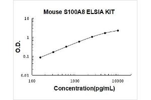S100 Calcium Binding Protein A8 (S100A8) ELISA Kit