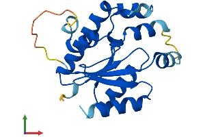 Protein Structure (PS) image for IdnK Gluconokinase Homolog (IDNK) (AA 1-187) protein (His tag) (ABIN7548144)