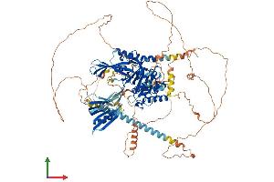 Protein Structure (PS) image for Ubiquitin Specific Peptidase 37 (USP37) (AA 1-979) protein (His tag) (ABIN7555896)