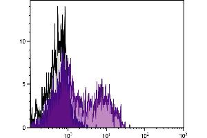 Image no. 1 for anti-Killer Cell Lectin-Like Receptor Subfamily G, Member 1 (KLRG1) antibody (PE) (ABIN135352)