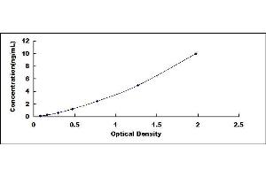 Typical standard curve (Plexin A1 ELISA 试剂盒)