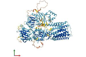 Protein Structure (PS) image for ATPase Type 13A2 (ATP13A2) (AA 1-1180) protein (His tag) (ABIN7552454)