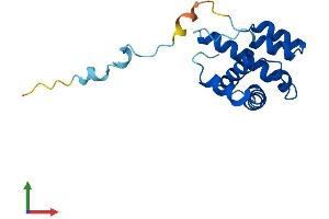 Protein Structure (PS) image for Actin Related Protein 2/3 Complex, Subunit 5-Like (ARPC5L) (AA 1-153) protein (His tag) (ABIN7561116)