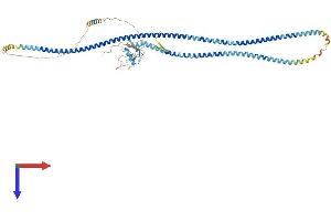 CLEC4F Protein (AA 1-589) (His tag)