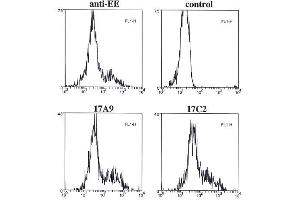 Flow cytometry data of overexpressed EE-tagged Bmf in 293T cells, fixed with 1% PFA, permeabilized with saponin and stained intracellularly with anti-Bmf (mouse/rat), mAb (17A9) , control or positive control anti-EE. (BMF 抗体  (AA 13-27, AA 112-126))