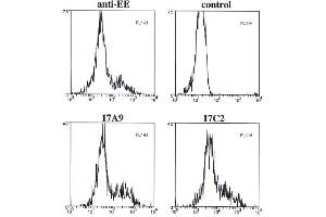 Flow cytometry data of overexpressed EE-tagged Bmf in 293T cells, fixed with 1% PFA, permeabilized with saponin and stained intracellularly with anti-Bmf (mouse/rat), mAb (17A9) , control or positive control anti-EE.