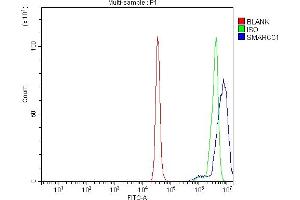 Flow Cytometry analysis of K562 cells using anti-SMARCC1/BAF155 antibody (ABIN7602175).