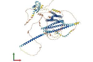 Protein Structure (PS) image for Junction Mediating and Regulatory Protein, P53 Cofactor (JMY) (AA 1-983) protein (His tag) (ABIN7565150)