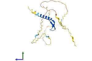Protein Structure (PS) image for B-Cell CLL/lymphoma 7B (BCL7B) (AA 1-202) protein (His tag) (ABIN7560195)