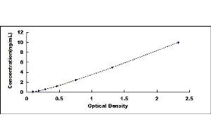 Typical standard curve (C1ql1 ELISA 试剂盒)