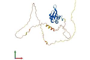 AlphaFold protein structure predicition of Human Recombinant RBM11 Protein, UniprotID P57052 (RBM11 Protein (AA 1-281) (His tag))