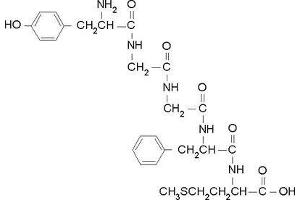 Image no. 1 for Proenkephalin (PENK) (Met5) peptide (ABIN399899) (Proenkephalin (PENK) (Met5) Peptide)