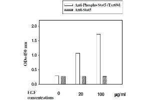 A431 cells were stimulated by different concentrations of EGF for 10 minutes at 37 °C (STAT5A ELISA 试剂盒)