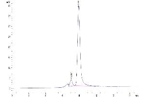 The purity of Biotinylated Human Latent TGF beta 1 is greater than 93 % as determined by SEC-HPLC.