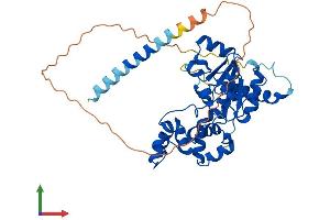Protein Structure (PS) image for Carbohydrate (N-Acetylgalactosamine 4-0) Sulfotransferase 9 (CHST9) (AA 1-413) protein (His tag) (ABIN7558163)