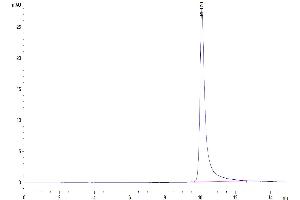 Size-exclusion chromatography-High Pressure Liquid Chromatography (SEC-HPLC) image for Complement Factor D (CFD) (AA 21-253) protein (His tag) (ABIN7274333)