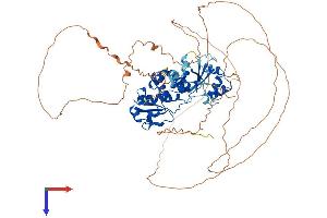 DUSP16 Protein (AA 1-665) (His tag)