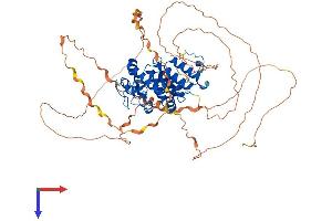 OGFR Protein (AA 1-633) (His tag)