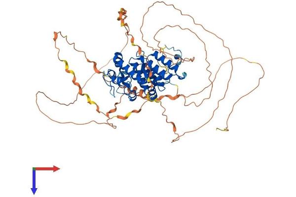 OGFR Protein (AA 1-633) (His tag)