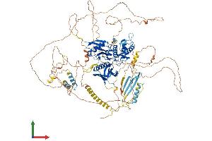 Protein Structure (PS) image for Erythrocyte Membrane Protein Band 4.1 Like 3 (EPB41L3) (AA 1-1087) protein (His tag) (ABIN7553750)