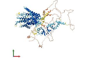 AlphaFold protein structure predicition of Human Recombinant CLCN1 Protein, UniprotID P35523 (CLCN1 Protein (AA 1-988) (His tag))
