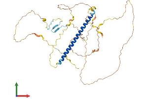 Protein Structure (PS) image for TSC22 Domain Family, Member 4 (TSC22D4) (AA 1-395) protein (His tag) (ABIN7544085)