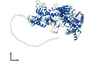 AlphaFold protein structure predicition of Human Recombinant KDM1B Protein, UniprotID Q8NB78