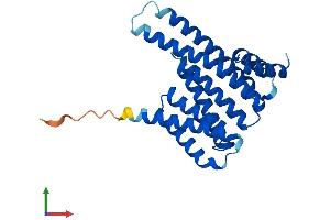 Protein Structure (PS) image for Stratifin (SFN) (AA 1-248) protein (His tag) (ABIN7551772)