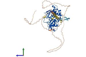 Protein Structure (PS) image for Metal Response Element Binding Transcription Factor 2 (MTF2) (AA 1-593) protein (His tag) (ABIN7563583)