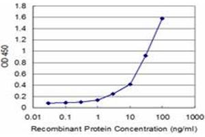 Detection limit for recombinant GST tagged FH is approximately 1ng/ml as a capture antibody. (FH 抗体  (AA 33-510))