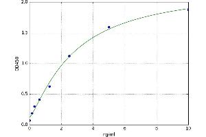 A typical standard curve (CA5B ELISA 试剂盒)