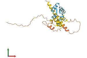 Protein Structure (PS) image for Calcium Binding Protein 7 (CABP7) (AA 1-215) protein (His tag) (ABIN7560151)