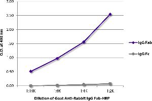 ELISA plate was coated with purified rabbit IgG Fab and IgG Fc. (山羊 anti-兔 IgG (Fab Region) Antibody)