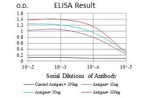 Black line: Control Antigen (100 ng), Purple line: Antigen(10 ng), Blue line: Antigen (50 ng), Red line: Antigen (100 ng), (NEDD8 抗体)