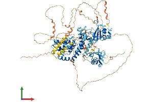 AlphaFold protein structure predicition of Human Recombinant RIN2 Protein, UniprotID Q8WYP3