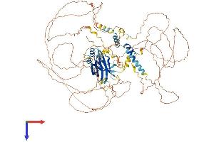 AlphaFold protein structure predicition of Human Recombinant MAP10 Protein, UniprotID Q9P2G4 (MAP10 Protein (AA 1-905) (His tag))