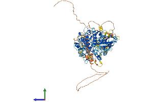 AlphaFold protein structure predicition of Human Recombinant RPS6KA5 Protein, UniprotID O75582