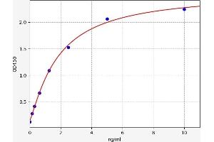 Typical standard curve (FAM55D ELISA 试剂盒)
