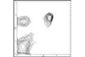 Image no. 1 for anti-CD4 (CD4) antibody (FITC) (ABIN474076) (CD4 抗体  (FITC))