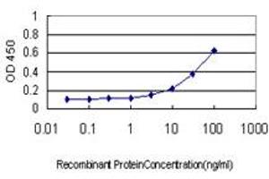 Detection limit for recombinant GST tagged SNF8 is approximately 1ng/ml as a capture antibody. (SNF8 抗体  (AA 23-122))