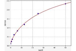 Typical standard curve (FNDC5 ELISA 试剂盒)