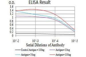 Black line: Control Antigen (100 ng),Purple line: Antigen (10 ng), Blue line: Antigen (50 ng), Red line:Antigen (100 ng) (RAD50 抗体  (AA 228-359))