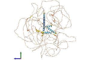 Protein Structure (PS) image for MN1 proto-oncogene (MN1) (AA 1-1320) protein (His tag) (ABIN7554566)