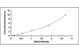 Typical standard curve (PLVAP ELISA 试剂盒)