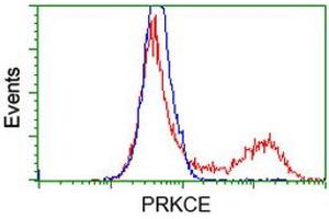 HEK293T cells transfected with either RC217702 overexpress plasmid (Red) or empty vector control plasmid (Blue) were immunostained by anti-PRKCE antibody (ABIN2454195), and then analyzed by flow cytometry. (PKC epsilon 抗体)