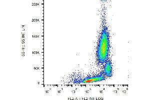 Flow cytometry analysis (surface staining) of CD18 in human peripheral blood with anti-CD18 (MEM-148) PE.