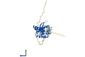 Protein Structure (PS) image for Leucine Rich Repeat Containing 23 (LRRC23) (AA 1-343) protein (His tag) (ABIN7549108)