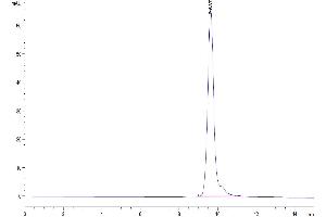 Size-exclusion chromatography-High Pressure Liquid Chromatography (SEC-HPLC) image for Hepsin (HPN) (AA 60-436) protein (His tag) (ABIN7274825)