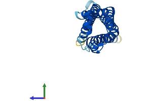Protein Structure (PS) image for Transmembrane Protein 205 (TMEM205) (AA 1-189) protein (His tag) (ABIN7544640)